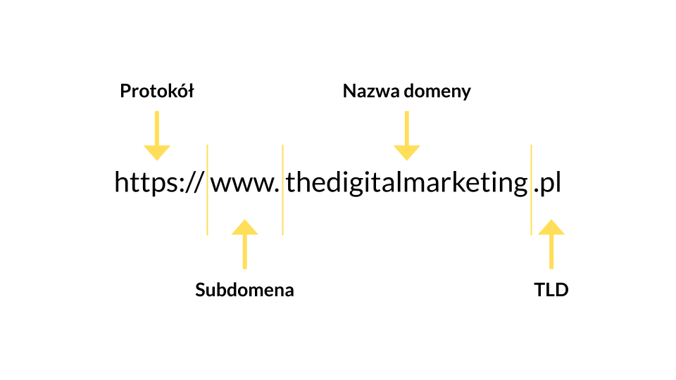 Domena - definicja, co to jest? | Słownik | The Digital Marketing